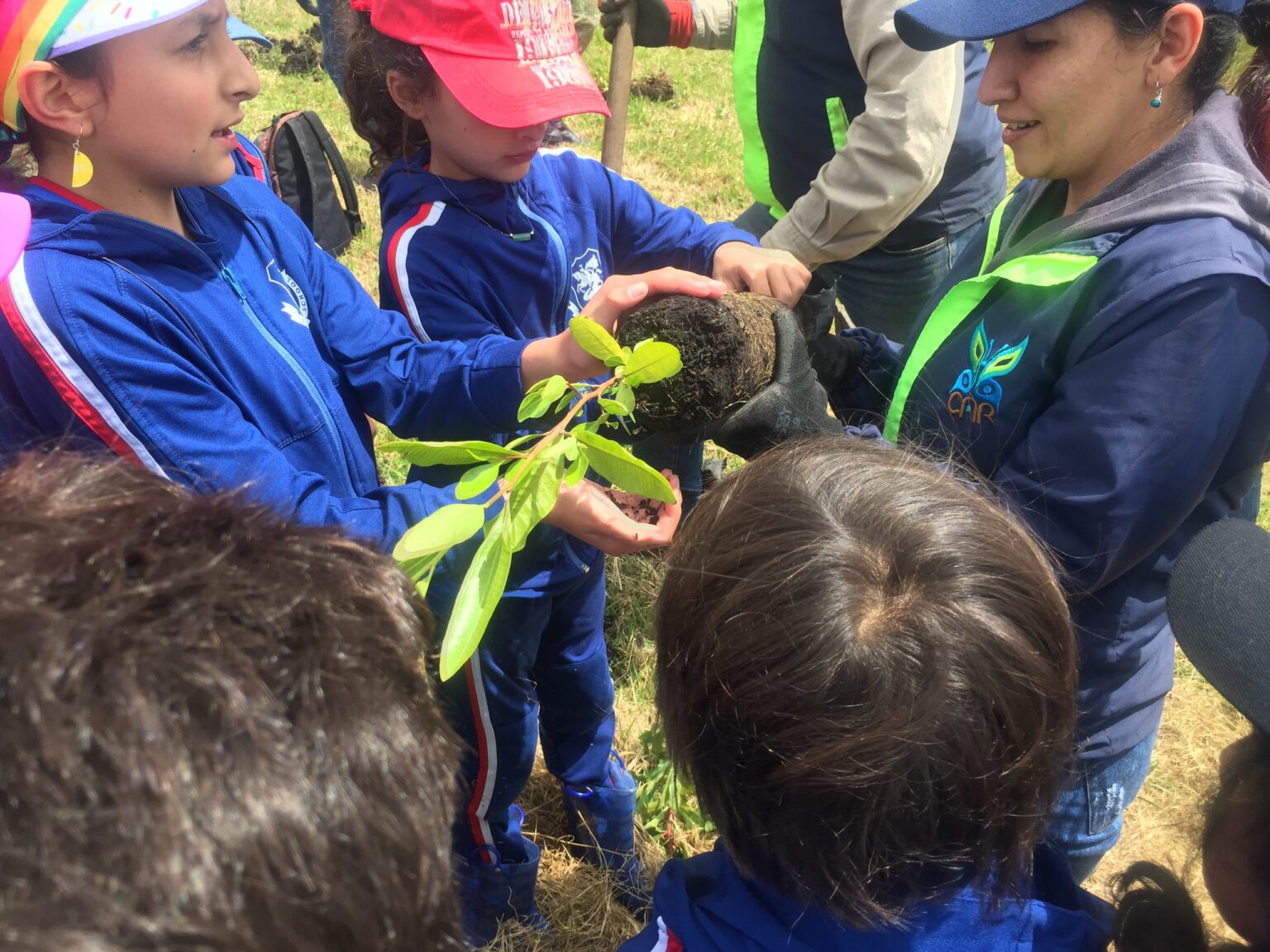 Niños del Colegio San Jorge de Inglaterra sembrando un árbol.